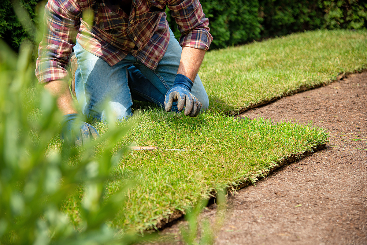 Installing Laying Turf In The Garden